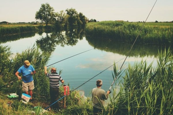 Quels sont les meilleurs spots pour une pêche en mer au Danemark?
