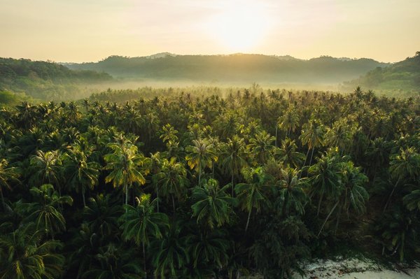 Comment organiser des vacances en Islande avec des cours de photographie des paysages volcaniques et des randonnées guidées?